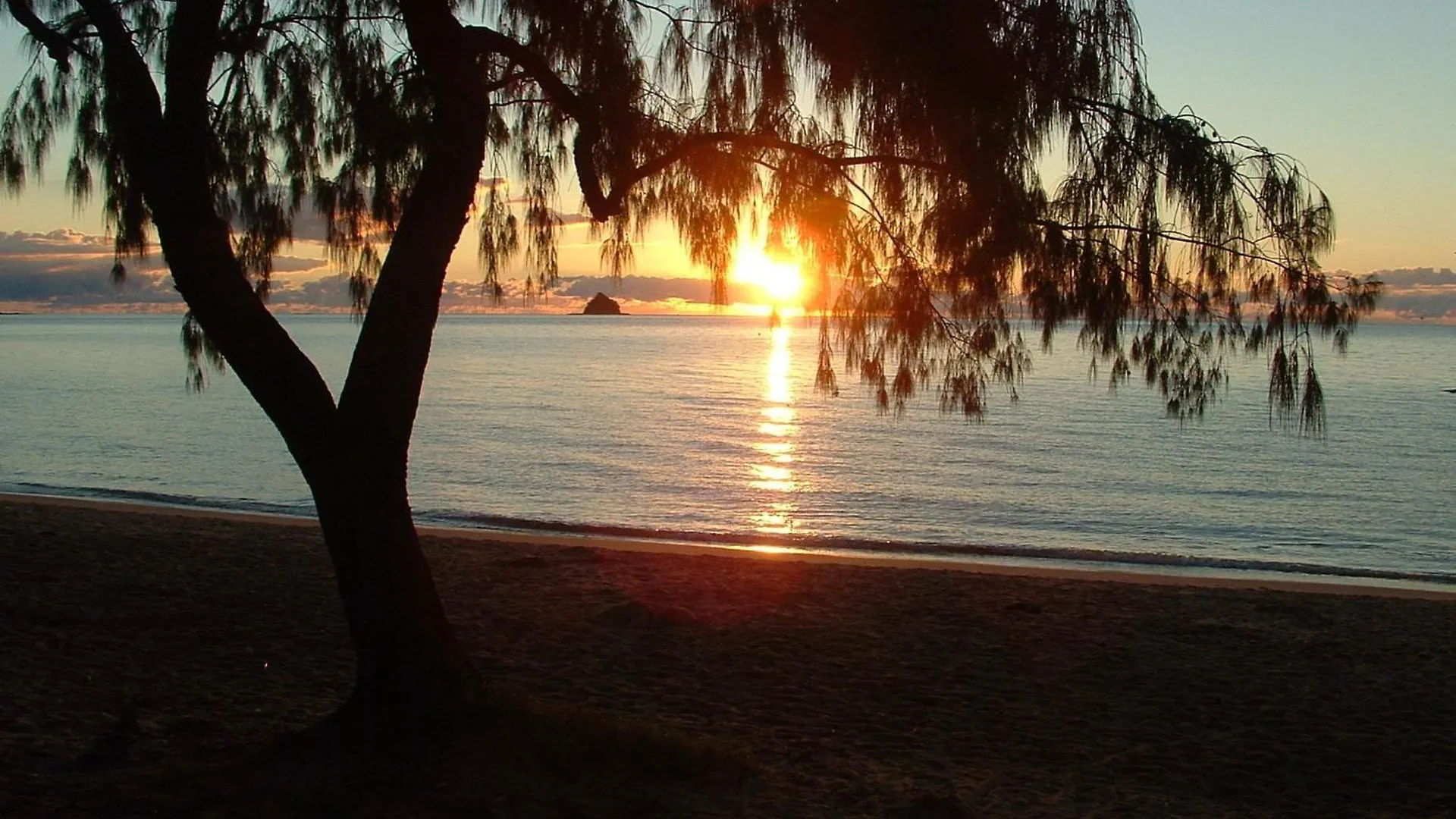 Marlin Waters Beachfront Apartments Palm Cove Lägenhetshotell