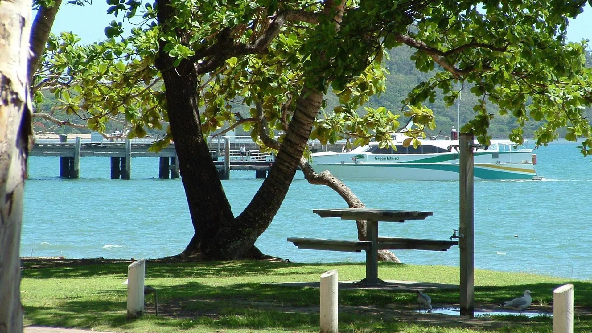 **** Lägenhetshotell Marlin Waters Beachfront Apartments Palm Cove Australien