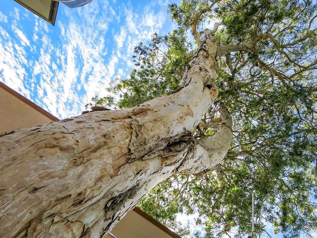 Aparthotel Marlin Waters Beachfront Apartments Palm Cove