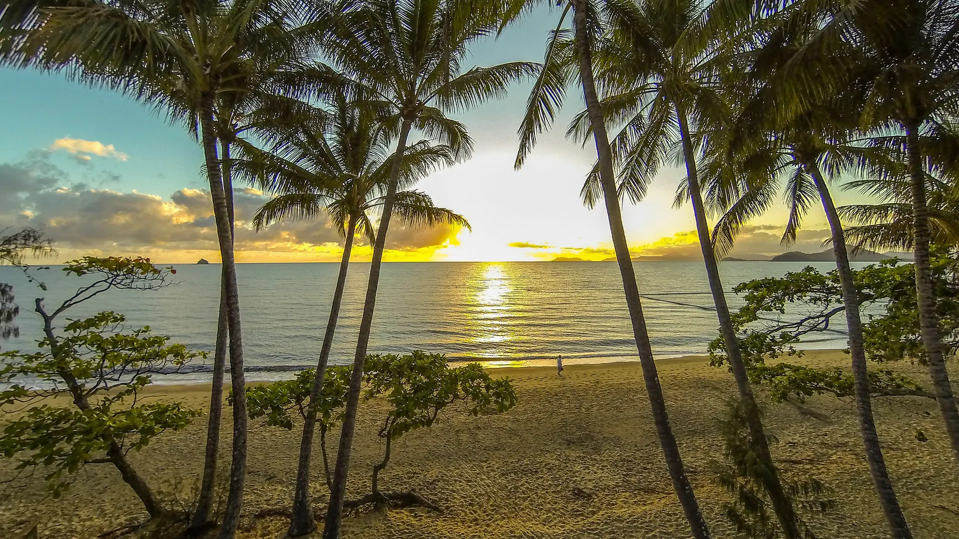 Marlin Waters Beachfront Apartments Palm Cove