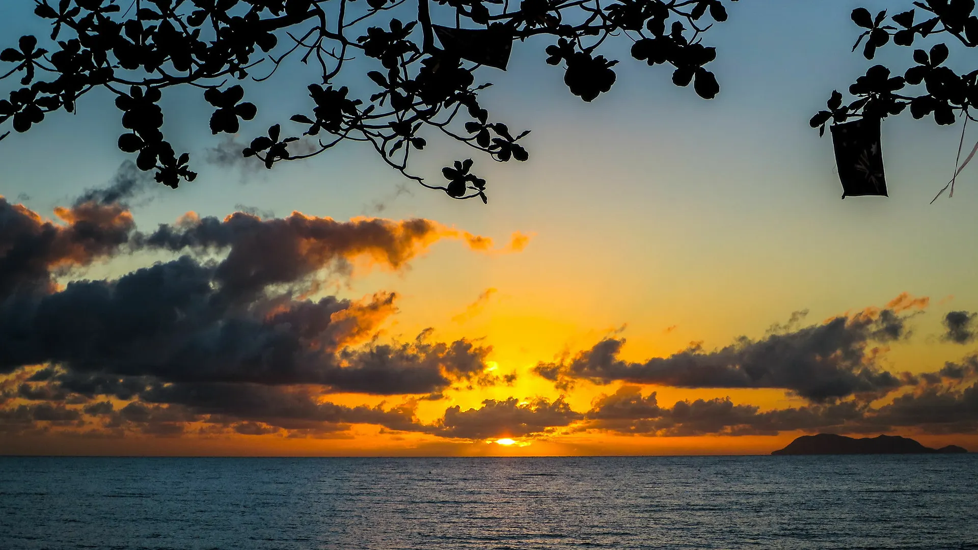 Aparthotel Marlin Waters Beachfront Apartments Palm Cove